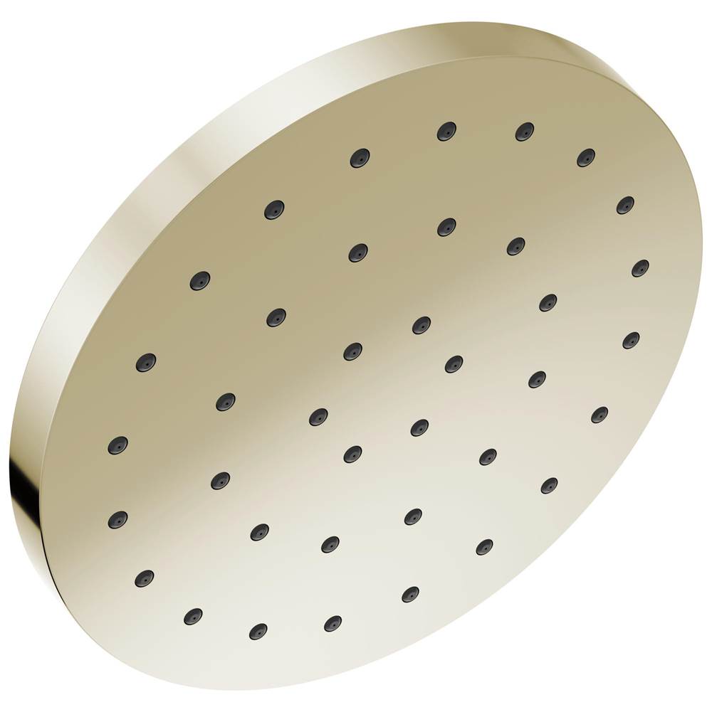 Delta Faucet  Shower Heads item 52160-PN-PR25