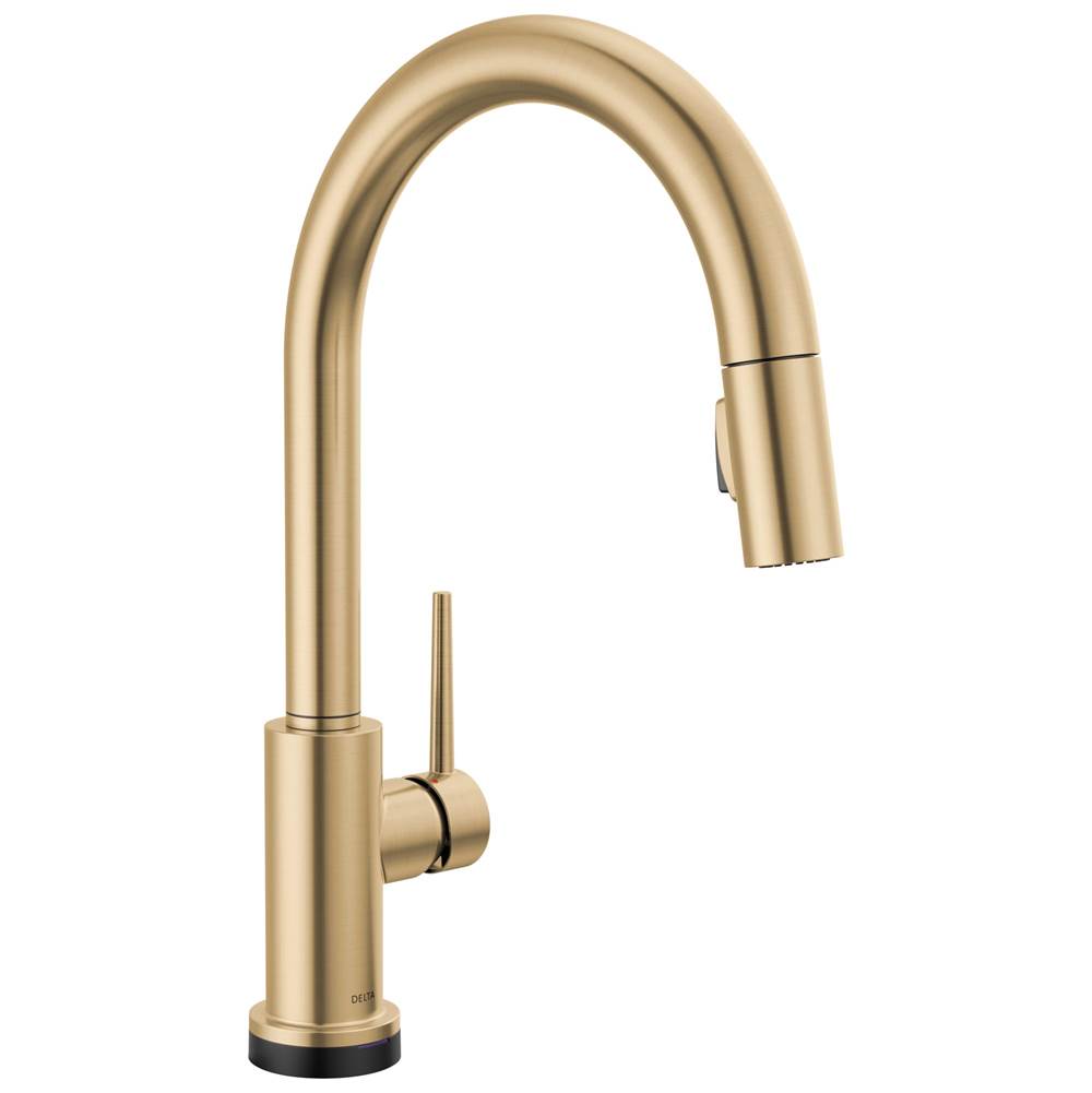 Delta Faucet Retractable Faucets Kitchen Faucets item 9159TL-CZ-DST